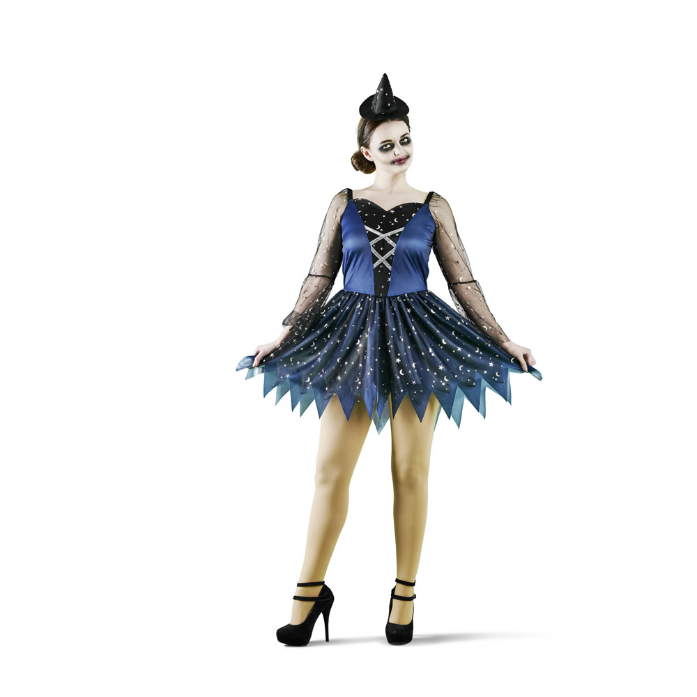 fancy dress size 20